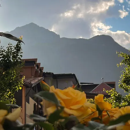 Apartment Mountain L'abete Dolomites