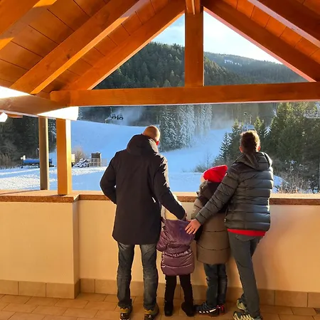 Appartamento Attico In Legno Ad