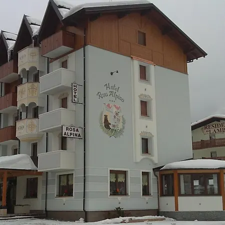 Rosa Alpina Hotel 3*
