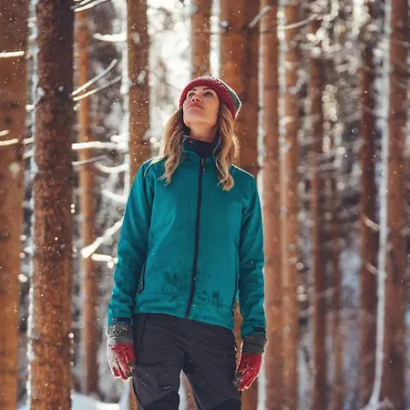 Dolomites 4*