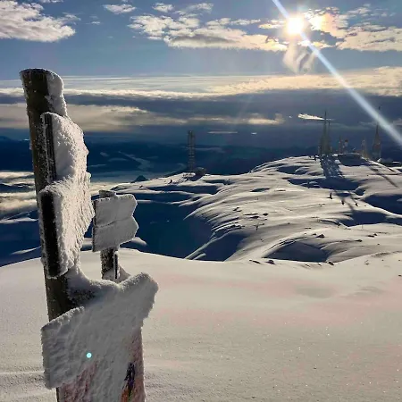 Appartamento Bilocale Ai Piedi Delle Dolomiti Andalo