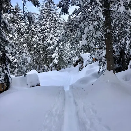 Bilocale Ai Piedi Delle Dolomiti Appartamento *