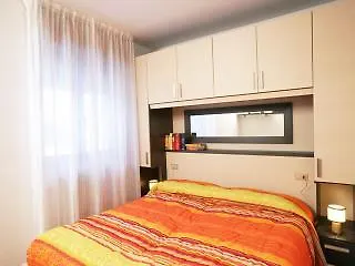 Viola 2*