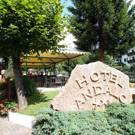 Hotel Hotel Andalo 3*
