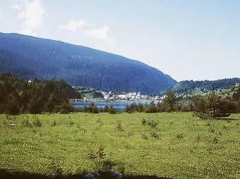 Viola Andalo